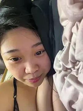 Sheep-07's cam snapshot