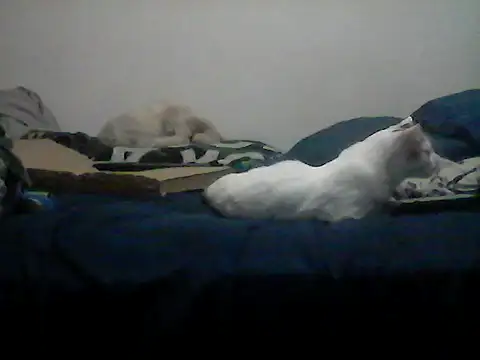 Silencio26 live sex cam