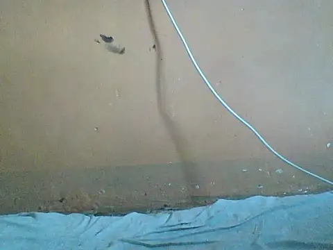 Naivegirrl's cam snapshot