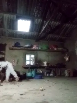 Hoa-tuylip's cam snapshot