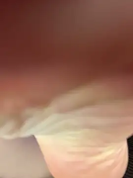 AriWild's cam snapshot