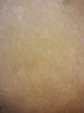 juicygoddess2's cam snapshot