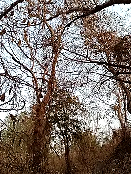 sahilcute1 live sex cam