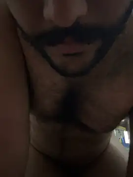 hairyboypenis's cam snapshot