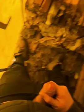 cussy007 live sex cam