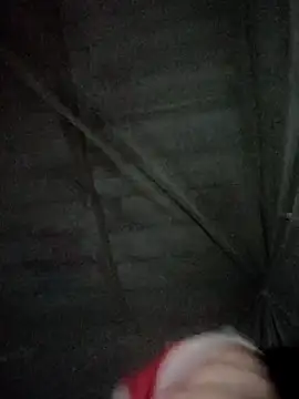 Dina20's cam snapshot