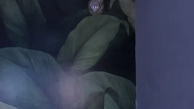 sweett_dirty's cam snapshot