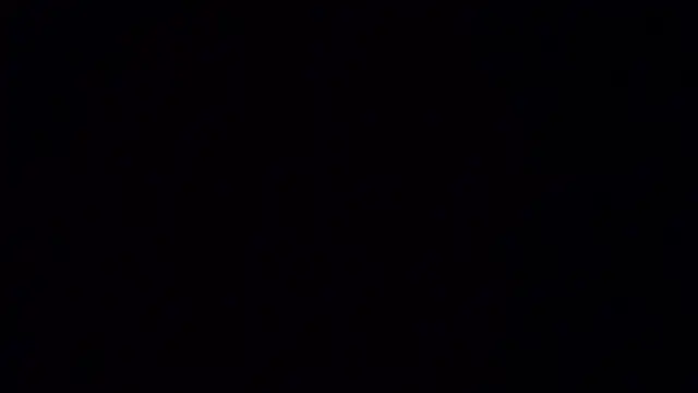 ElfieEva's cam snapshot