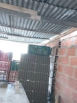 hoteder live sex cam