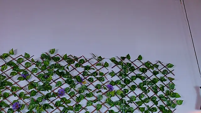 alice_rous21's cam snapshot