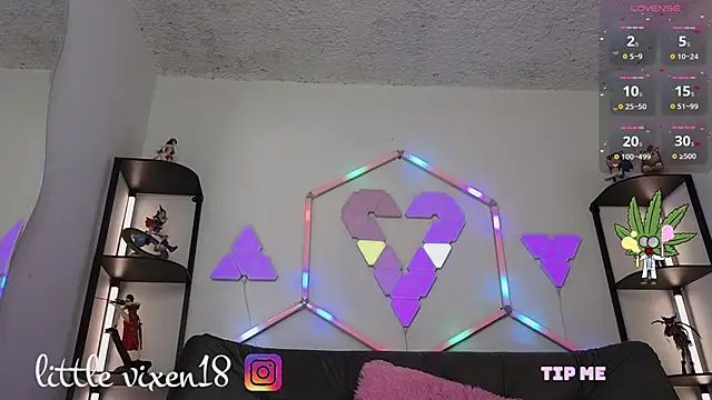 littlevixen18's cam snapshot