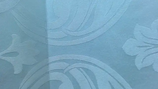 hexaravagina22's cam snapshot