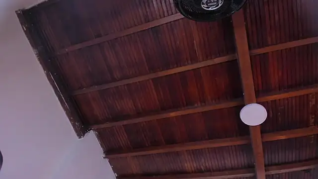 emily-fox's cam snapshot