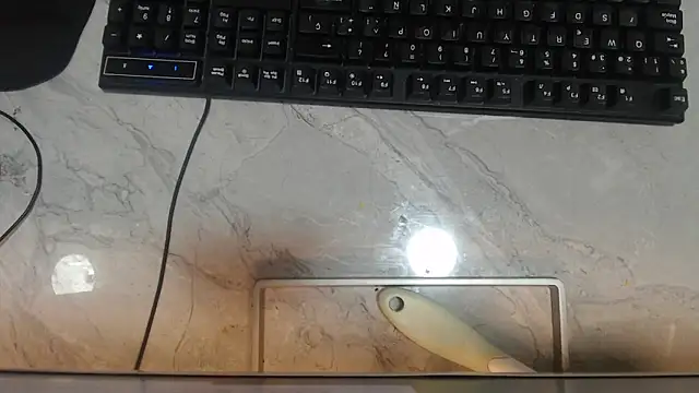 hasszul_b's cam snapshot