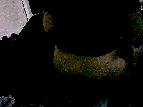 honeypotsweet's cam snapshot