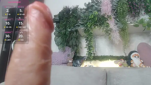 scyrim2's cam snapshot