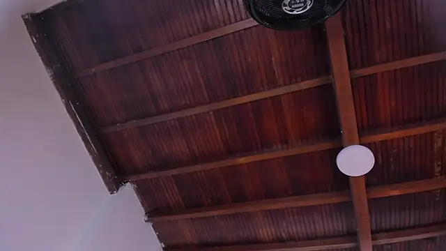 emily-fox's cam snapshot