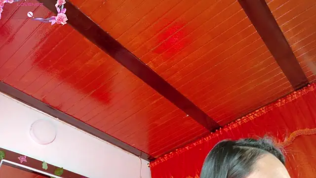 Auroraparker's cam snapshot