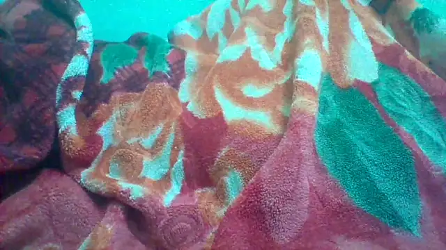 Paidnehu's cam snapshot