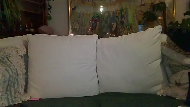 Stock-Holmes's cam snapshot