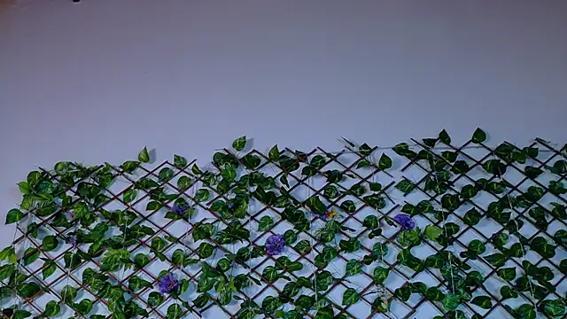 alice_rous21's cam snapshot