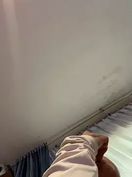 Jensen-Hally's cam snapshot