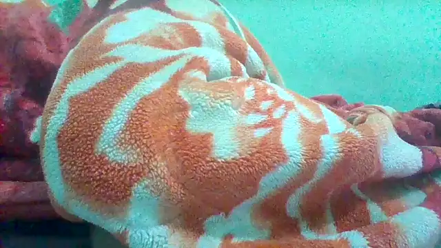 Paidnehu's cam snapshot