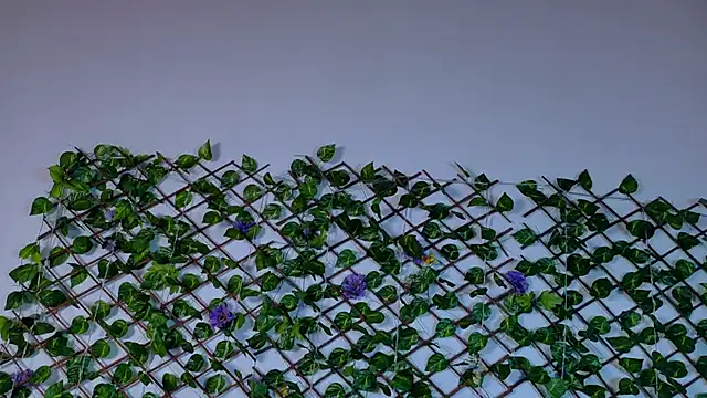 alice_rous21's cam snapshot