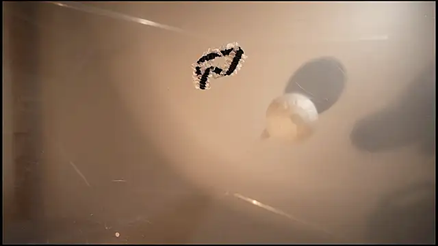 HeyBananas's cam snapshot