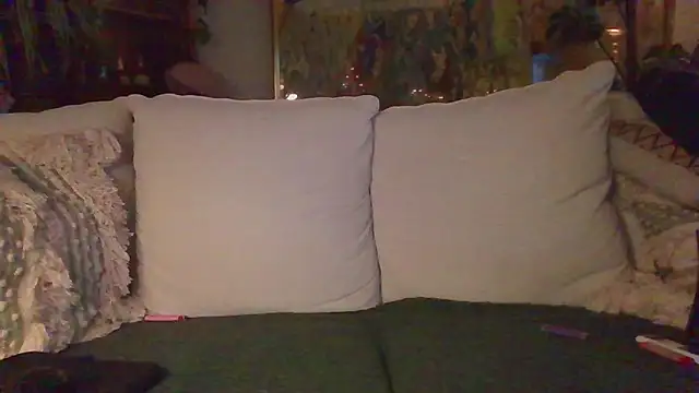 Stock-Holmes's cam snapshot