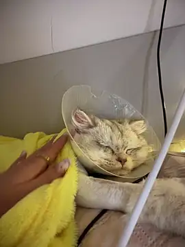 Ella_Charm's cam snapshot