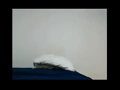 Elizabeth_manzon live sex cam