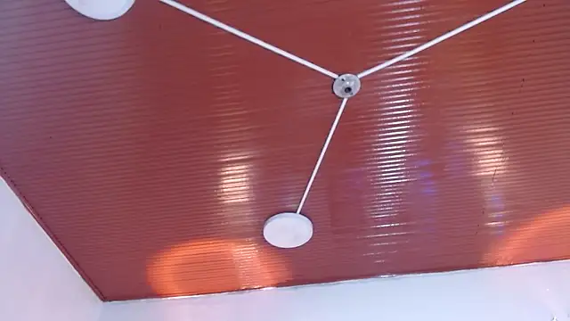 Megan_05_'s cam snapshot