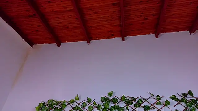 alice_rous21's cam snapshot