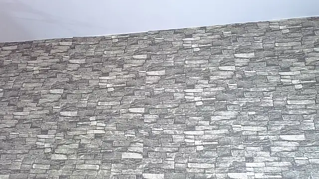 TokyoSky's cam snapshot