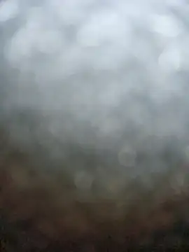 Roddog18's cam snapshot