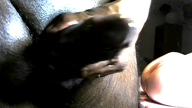 frenchblackc31 live sex cam