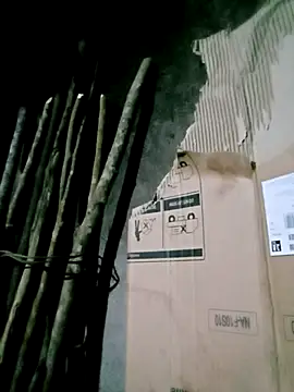 Diana-02's cam snapshot