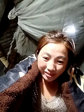 seacyre's cam snapshot