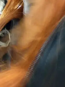 Alis_xxx live sex cam