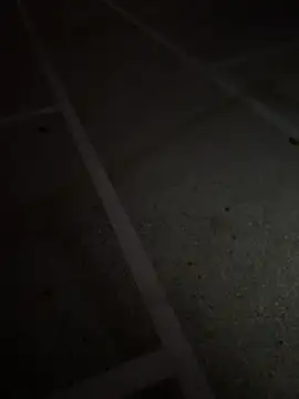 AlyssaFoxx_'s cam snapshot