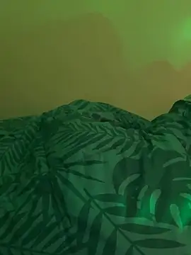 Midlle20's cam snapshot