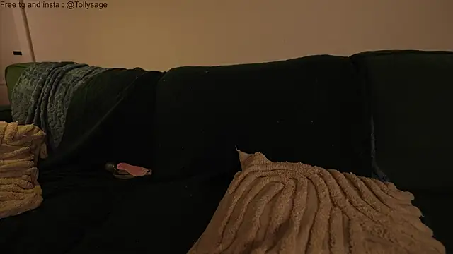 SenSage's cam snapshot