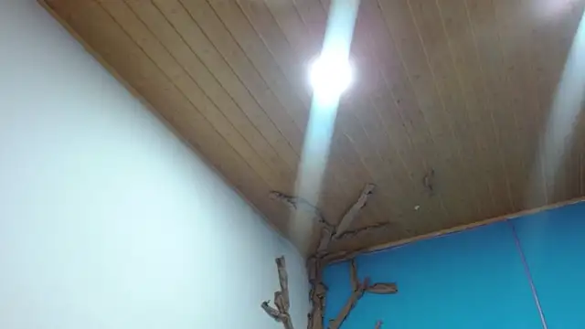 Andrea_deepsloppy's cam snapshot