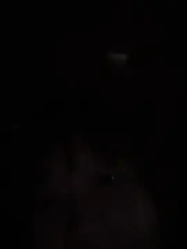 Liness101's cam snapshot