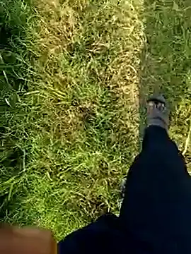 dolphiinn live sex cam