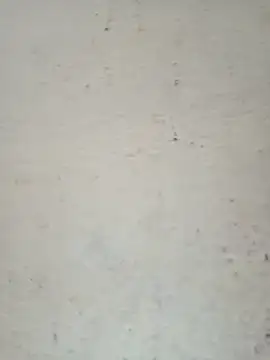 Namrta_cute's cam snapshot