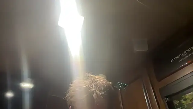 DMcNasty4 live sex cam