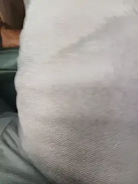 Royalk2030 live sex cam