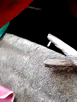 Rs_sonam's cam snapshot